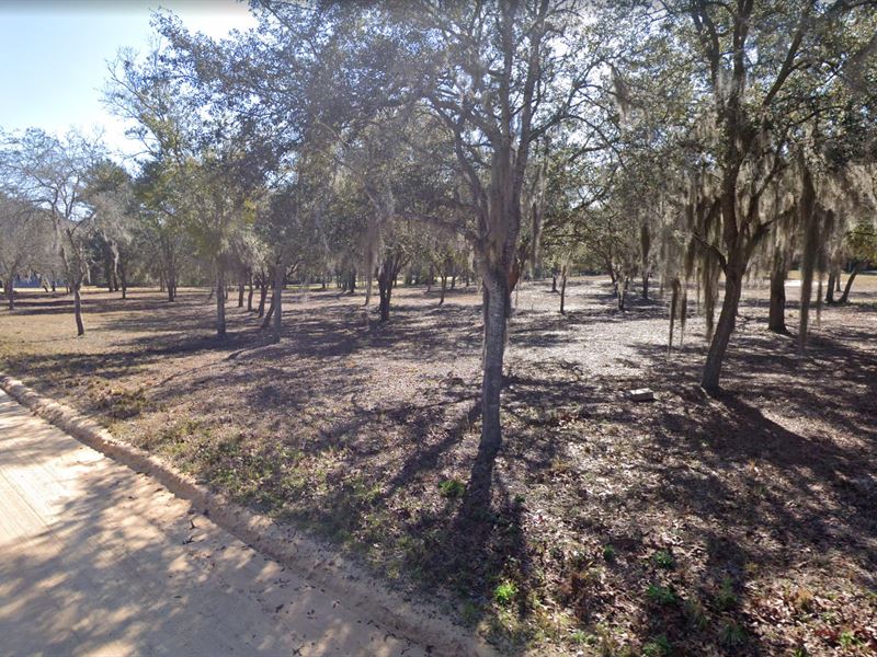 .34 Acre in Keystone Heights, $200 : Keystone Heights : Clay County : Florida