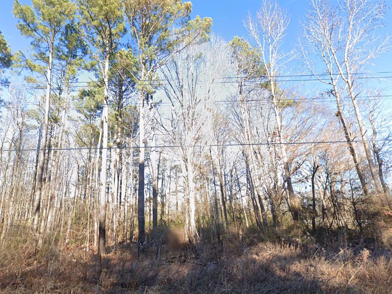 Price Reduced Build Your Dream Here : Erwin : Harnett County : North Carolina