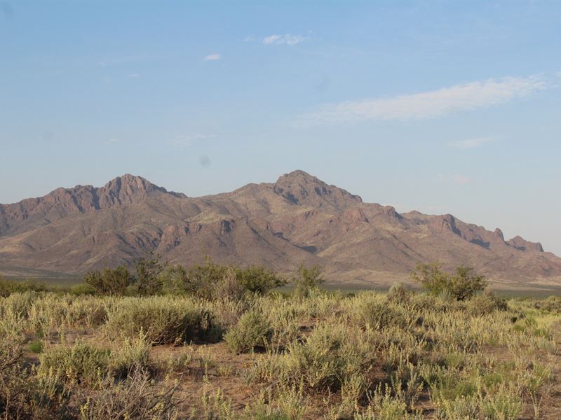 Camping Bliss, Wake Up with The Sun : Deming : Luna County : New Mexico