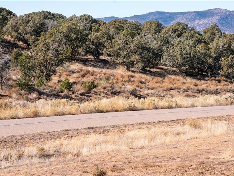 Cheapest 2+ Acre for Sale : Cedar City : Iron County : Utah