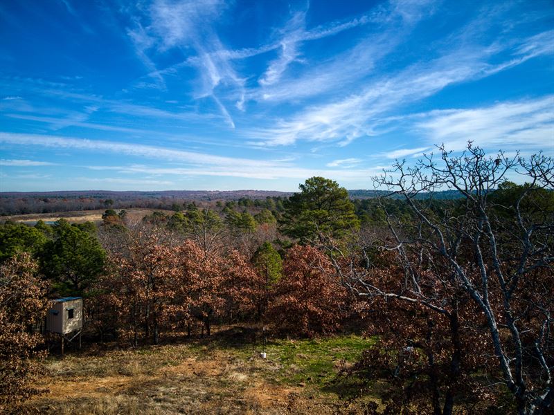 14 Acres with Cozy Cabin : Coalgate : Coal County : Oklahoma