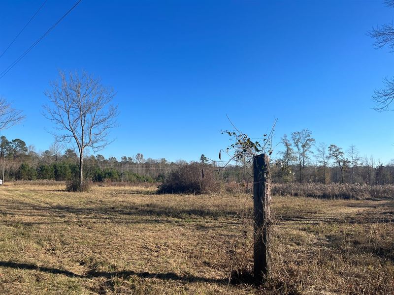 Lowndes 12 Acre Hildreth Tract : Columbus : Lowndes County : Mississippi