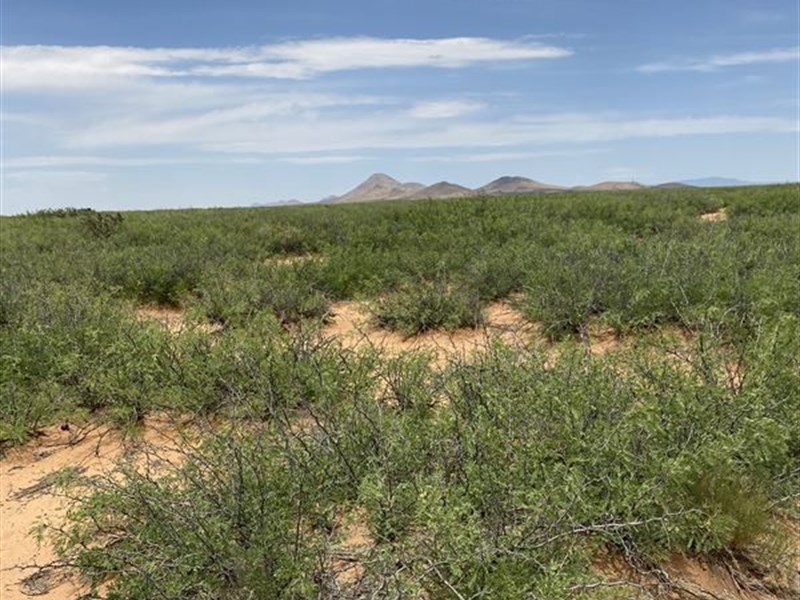 A Tranquil Retreat Awaits : Deming : Luna County : New Mexico