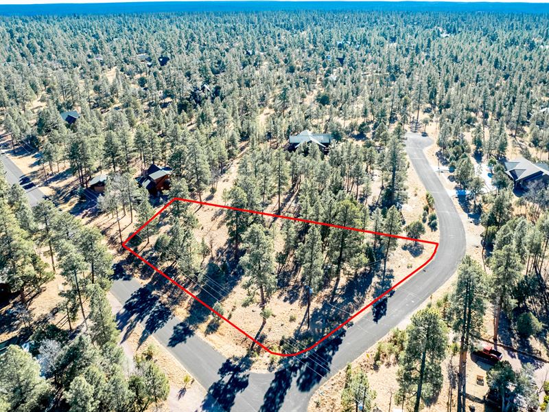 Owner Finance to a Deserving Buyer : Happy Jack : Coconino County : Arizona