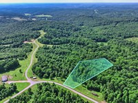 3 Wooded Acres with Road Access : Indian Mound : Stewart County : Tennessee