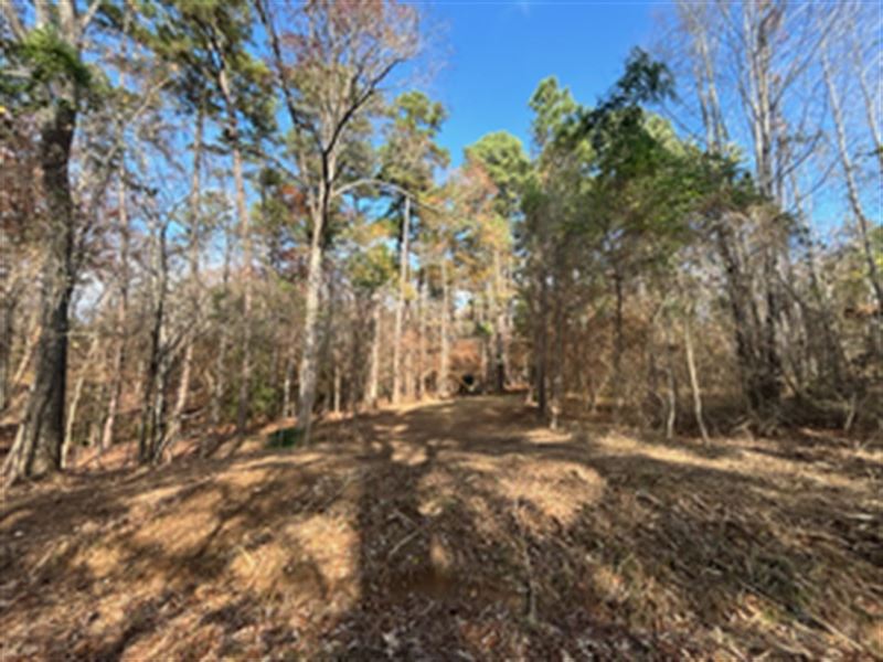 Camp, Build, or Chill in East TX : Avinger : Marion County : Texas
