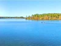 Camp or Build, 0.24 Acre Near Lake : Avinger : Marion County : Texas