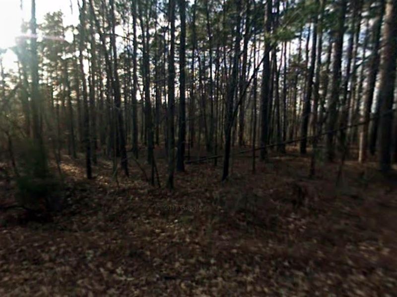 5 Acres of Freedom $1 Down in TX : Bivins : Marion County : Texas