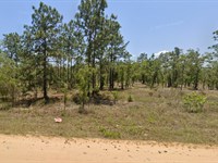 Your Hawthorne Lot on Washington Dr : Interlachen : Putnam County : Florida