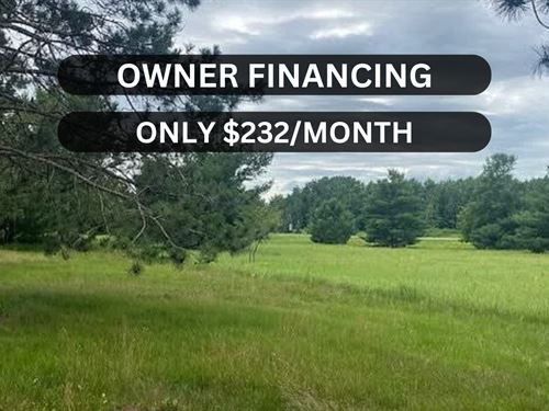 MN Land Very Close to Fawn Lake : Browerville : Todd County : Minnesota