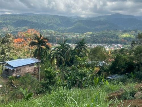 Beautiful 1.4 Acre Property : Pejibaye : Costa Rica