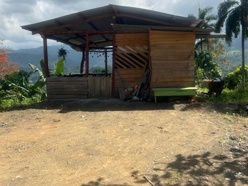 Beautiful 2.5 Acre Property : Pejibaye : Costa Rica