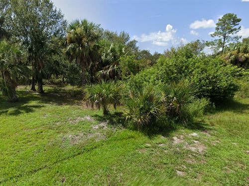 Land with Access on Electricity : Punta Gorda : Charlotte County : Florida