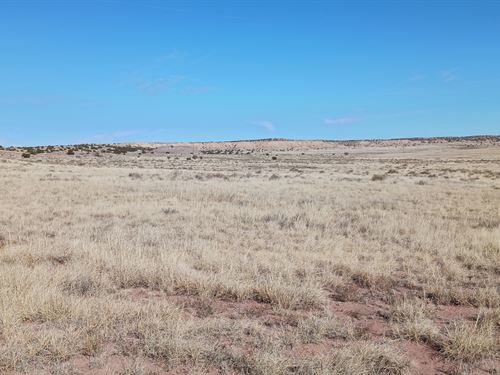 Start Living $119 Down, 1.77 Ac : Chambers : Apache County : Arizona