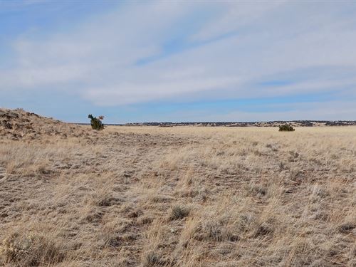 Build Your Future Home Near Concho : Concho : Apache County : Arizona
