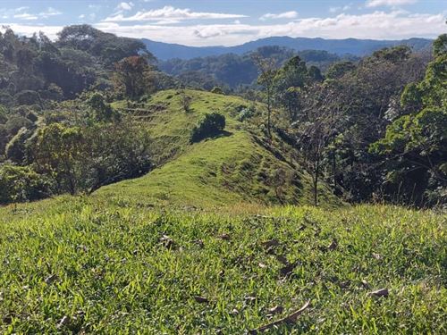 Beautiful Small Estate : Galan De Puriscal : Costa Rica