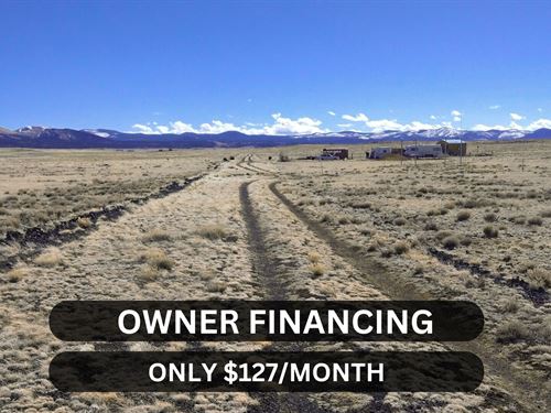 Discover Your Desert Oasis in AZ : Concho : Apache County : Arizona