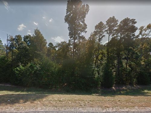 .05 Acre in Pittsburg, $200/Month : Pittsburg : Camp County : Texas