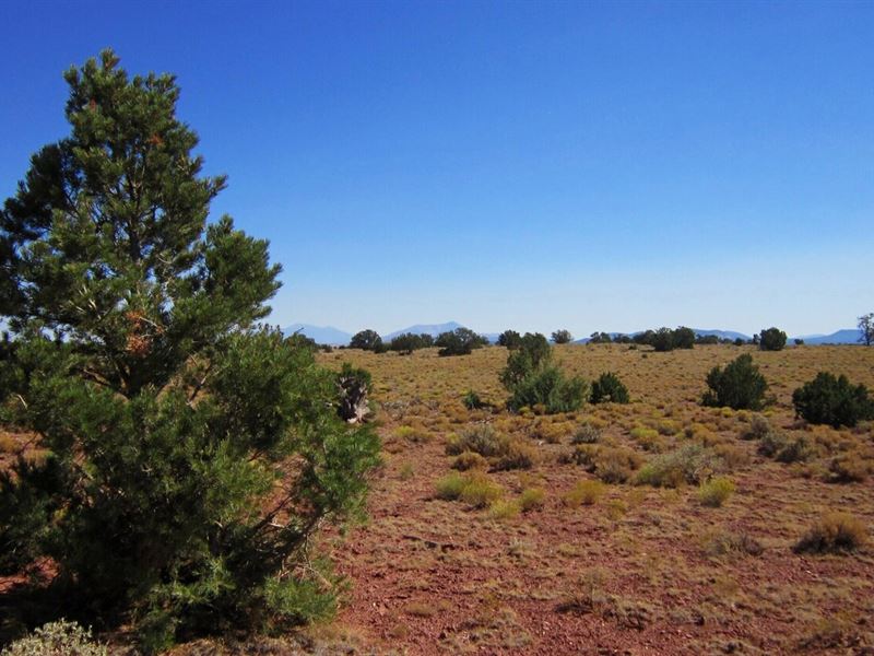 Bring RV, Off Grid with Views : Williams : Coconino County : Arizona
