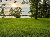 Second Most Beautiful Lot on Lake : Saint Joseph : Tensas Parish : Louisiana