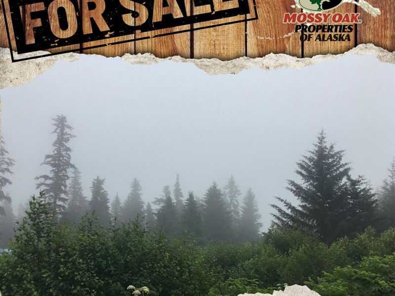 Lot on The Highway : Ninilchik : Kenai Peninsula Borough : Alaska