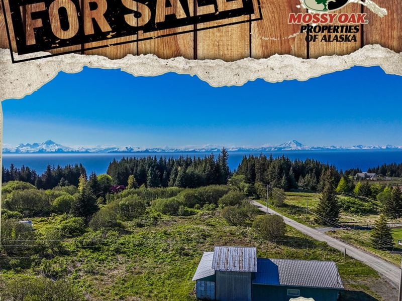 Larger Shop Anchor Point : Anchor Point : Kenai Peninsula Borough : Alaska