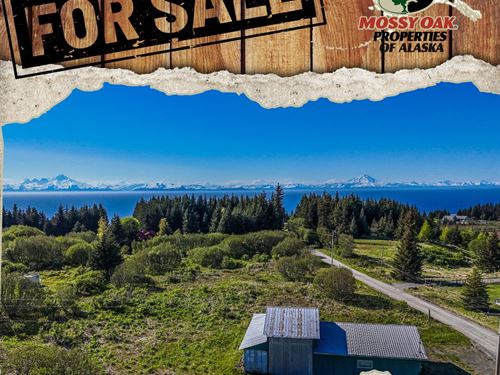 Larger Shop Anchor Point : Anchor Point : Kenai Peninsula Borough : Alaska