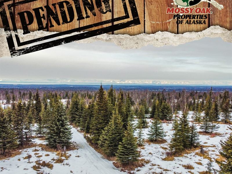 Remote, Trail Access 16 Acres : Ninilchik : Kenai Peninsula Borough : Alaska