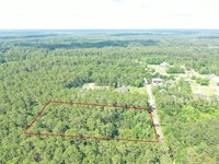 Big & Beautiful Hobby Farm : Pearlington : Hancock County : Mississippi