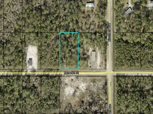Hastings Acre, No Deed Restrictions : Hastings : Saint Johns County : Florida