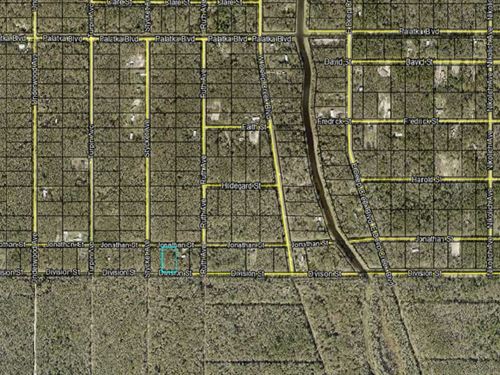 1.04 Acre Country Living : Hastings : Saint Johns County : Florida