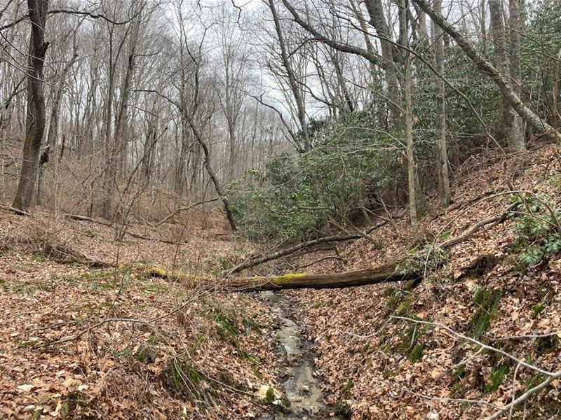 Invest in Your 6 Acre Adventure : Grassy Creek : Ashe County : North Carolina
