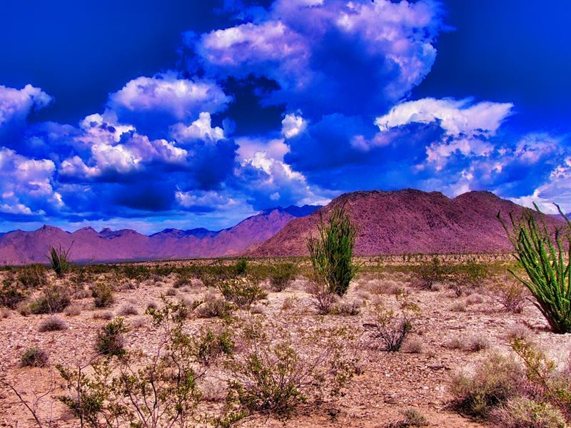 Picture-Perfect Land for Sale : Yucca : Mohave County : Arizona
