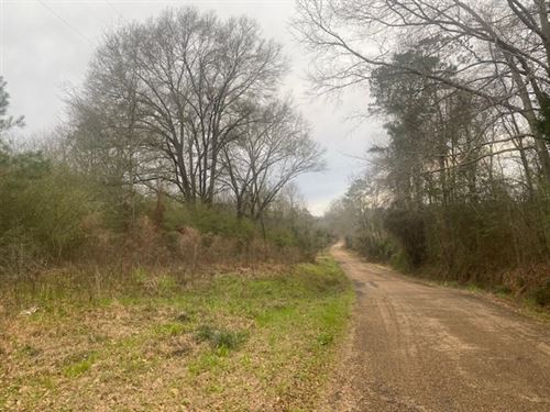 2 Rural Acres / Magnolia : Magnolia : Pike County : Mississippi