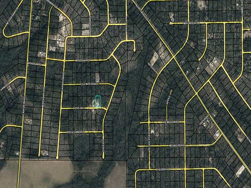 1.14+ Acre Lot in Compass Lakes : Marianna : Jackson County : Florida