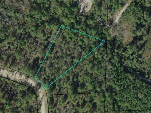 Compass Lakes 1.34 Acre Lot : Marianna : Jackson County : Florida