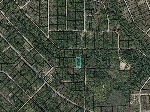 1.19 Acre Lot in Compass Lakes : Marianna : Jackson County : Florida