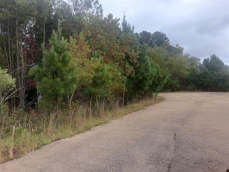 .760 Acres Near Hazlehurst, Missis : Hazlehurst : Copiah County : Mississippi