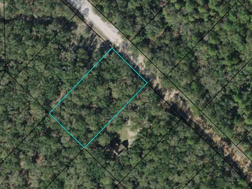 1.136 Ac, Equestrian Lake Community : Marianna : Jackson County : Florida