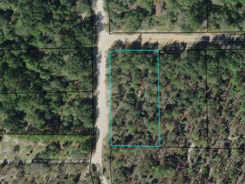 1.5 Acre Corner Lot in Compass Lake : Marianna : Jackson County : Florida