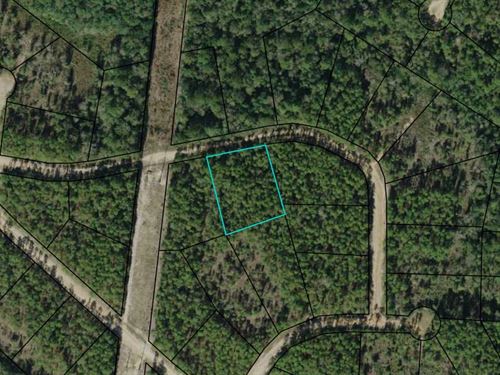 1.2 Acres in Beautiful Compass Lake : Alford : Jackson County : Florida