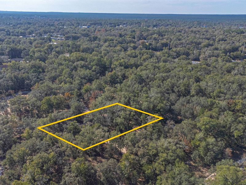 Experience This 0.22 Acre Lot in FL : Inverness : Citrus County : Florida