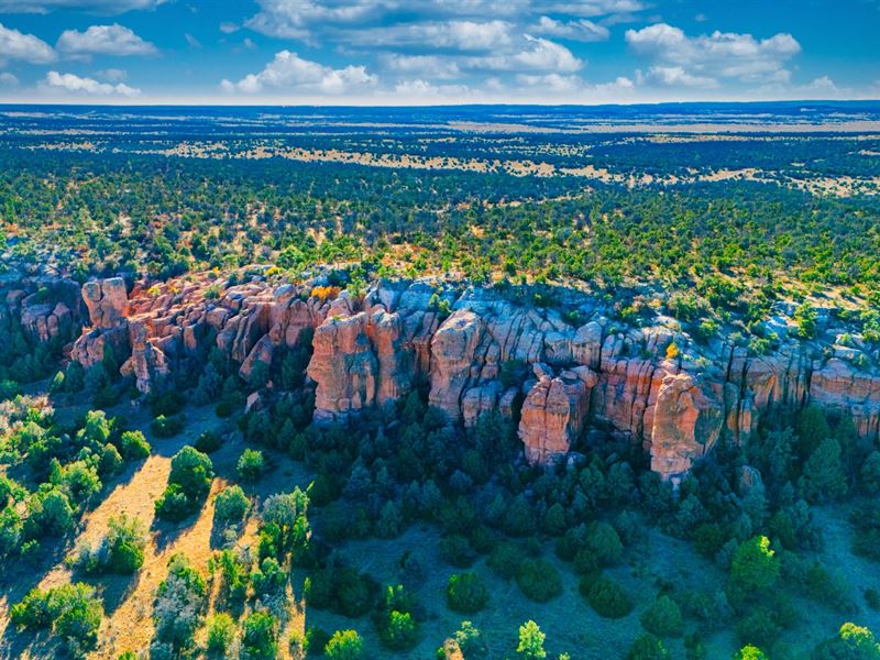 20 Acre Ranch with Access & Power : Ramah : Cibola County : New Mexico