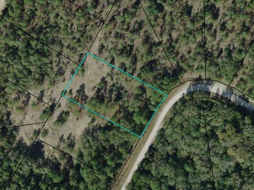 1.12 Acre Minutes From Lake : Alford : Jackson County : Florida