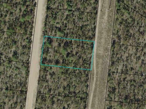 1.1 Acre Residential Lot : Alford : Jackson County : Florida
