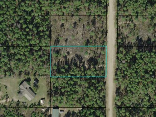 1.14 Ac Minutes From McCormick Lake : Alford : Jackson County : Florida