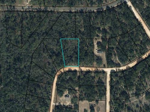 1.270 Acre Close to Compass Lakes : Alford : Jackson County : Florida