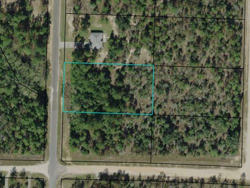 1.14 Ac Lot Paved Road Compass Lake : Alford : Jackson County : Florida