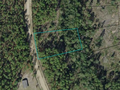 Compass Lakes Acre : Marianna : Jackson County : Florida