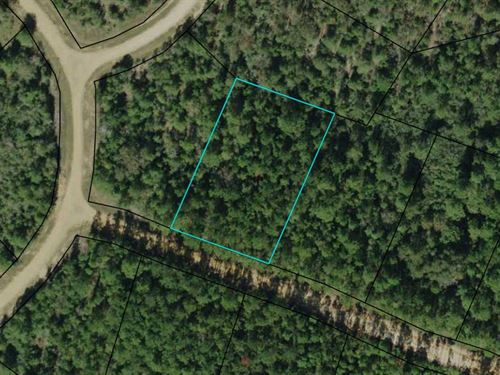 Equestrian Friendly Lake Community : Alford : Jackson County : Florida